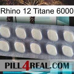 Rhino 12 Titanium 6000 08